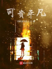 可贵平凡