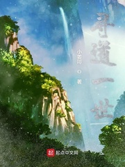 寻道一世