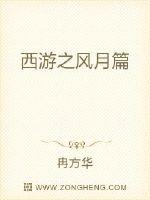 西游之风月篇