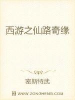 西游之仙路奇缘