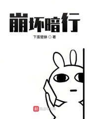 崩坏暗行