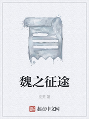 魏之征途