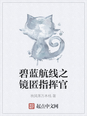 碧蓝航线之镜匿指挥官