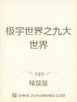 极宇世界之九大世界