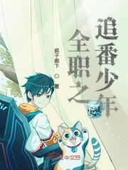 全职之追番少年