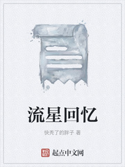 流星回忆
