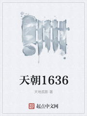 天朝1636