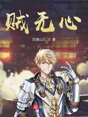 贼无心