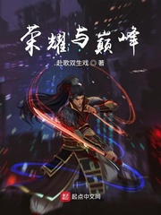 荣耀与巅峰
