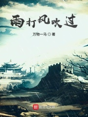 晋乱录