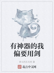 有神器的我偏要用剑