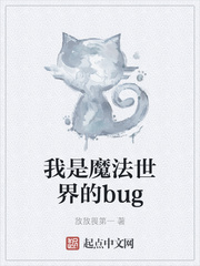 我是魔法世界的bug