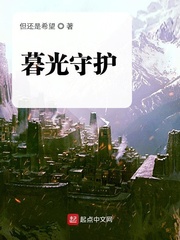 暮光守护