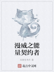 漫威之能量契约者