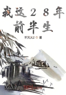 我这28年前半生
