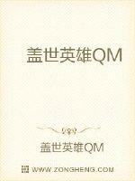 盖世英雄QM