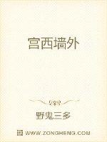 宫西墙外