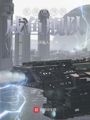 征战银河的咸鱼舰队