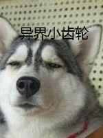 异界小齿轮