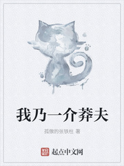 我乃一介莽夫
