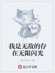 我是无敌的存在无限闪光