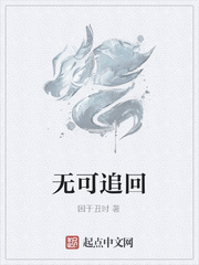 无可追回