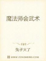 魔法师会武术
