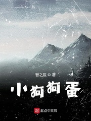 小狗狗蛋