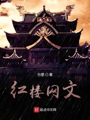 红楼网文