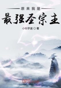 原来我是最强圣宗主