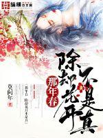 那年春除却花开不是真