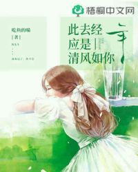 此去经年应是清风如你
