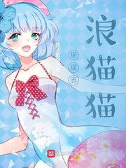 猫猫流浪猫猫