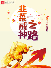 韭菜成神之路