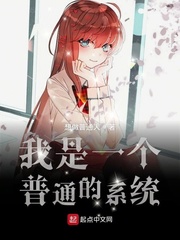 我是一个普通的系统