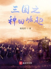 三国之种田崛起