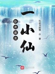卧虎藏龙一小仙