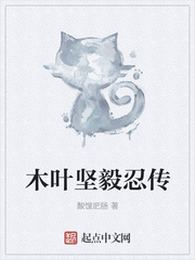 木叶坚毅忍传
