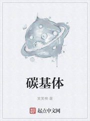 碳基体