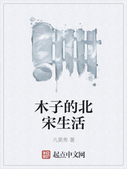 木子的北宋生活