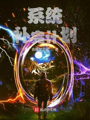 系统补完计划