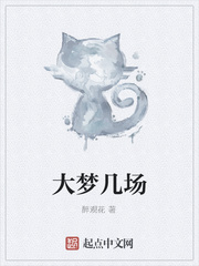 大梦几场