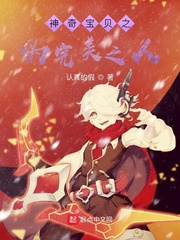 神奇宝贝之伪完美之人