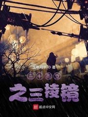 三十而立之三棱镜