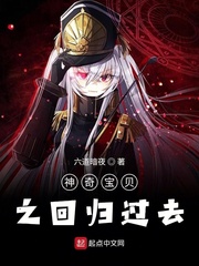 神奇宝贝之回归过去