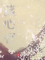藏心忆