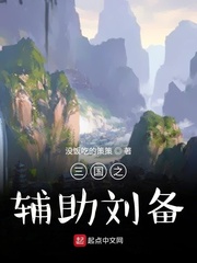 三国之辅助刘备