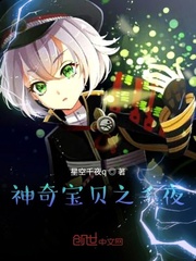 宠物小精灵之永恒星夜