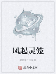 风起灵笼