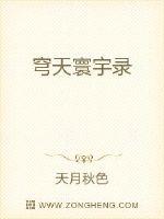 穹天寰宇录
